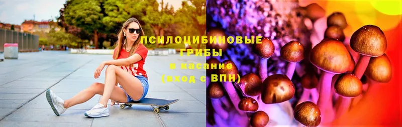 Галлюциногенные грибы GOLDEN TEACHER  хочу   Инсар 